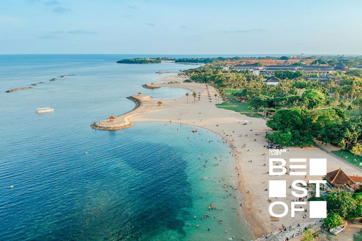 an aerial of shoreline with palm trees